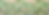 Tropical Palms.png