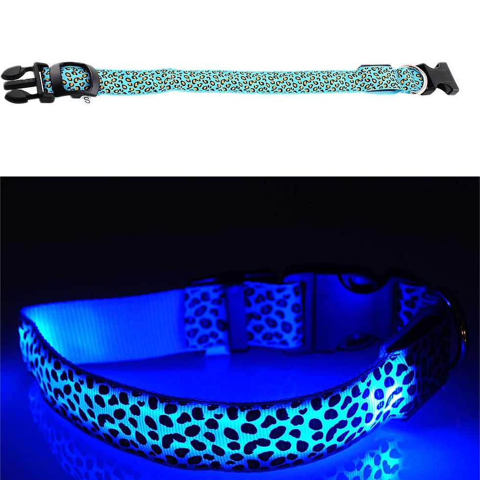Thumbnail: LED Light Collar