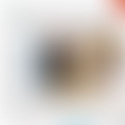 LA CITTA' SI SPOPOLA NON A CAUSA NOSTRA