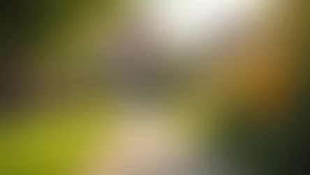 Discover Independent Living Options for Low-Income Seniors