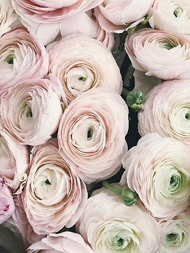 pexels-secret-garden-931178.jpg