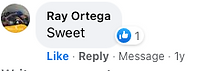 social_comments_12