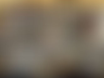 VISUAL VOICES 2025-2026