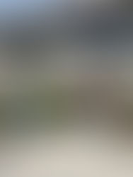 Alunos de Clevelândia participam da etapa regional do Hackathon Programa Talento Tech Paraná