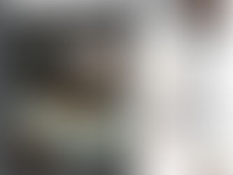 ROTAM PRENDE CASAL PORTANDO ARMAS DE FOGO ILEGAIS