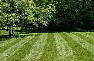Lawn-Striping-Basic-Lawn-Stripes-Photo.j