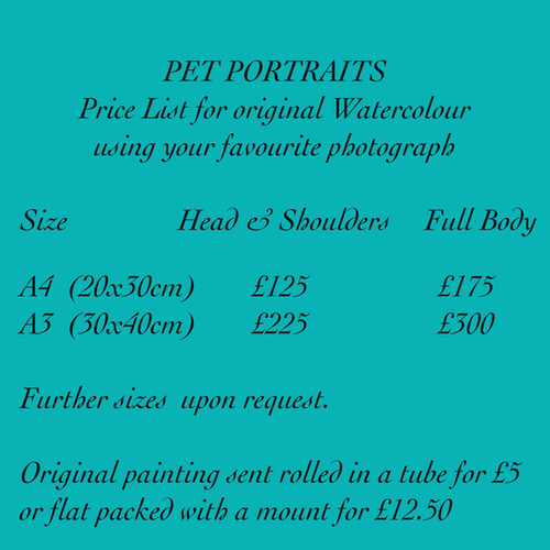 Pet Portrait Price List lynnepeetsartist