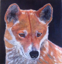 dingo_i_painted_006.JPG