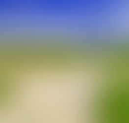 Navigating Retirement With Purpose