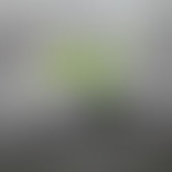 Self-Sabotage: Why We Do It, and How to Step Out of It