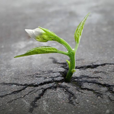 Self-Sabotage: Why We Do It, and How to Step Out of It