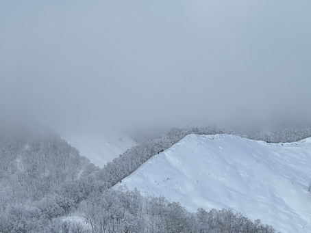 Kiroro & Rusutsu, Japan - Jan 2025