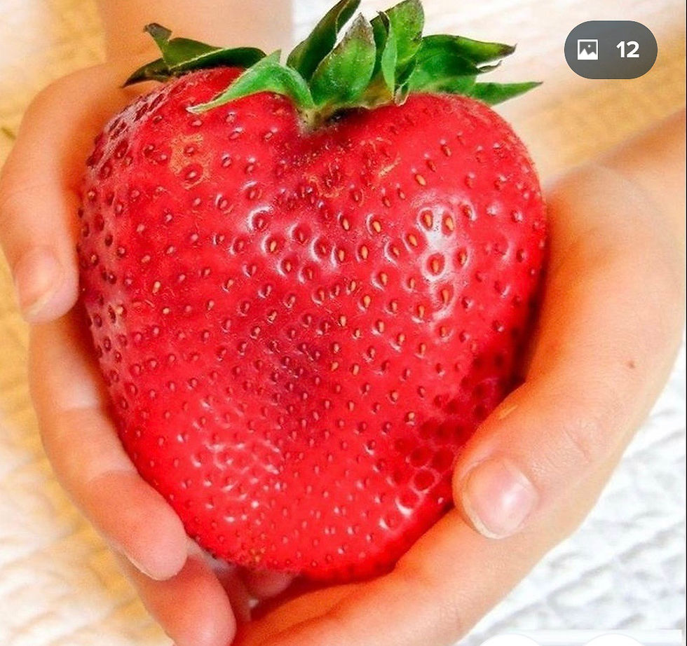 ree