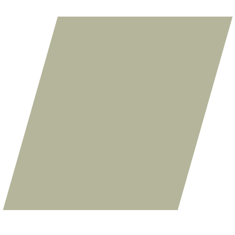 Slanted Squire.png