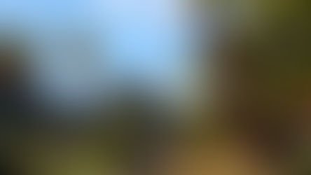 Food for Landscapes at Kirstenbosch Botanical Garden