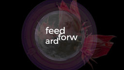 Feedforward: Curating in a Climate Crisis