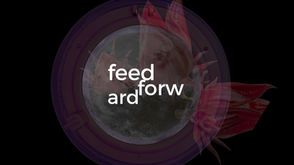 Feedforward: Curating in a Climate Crisis