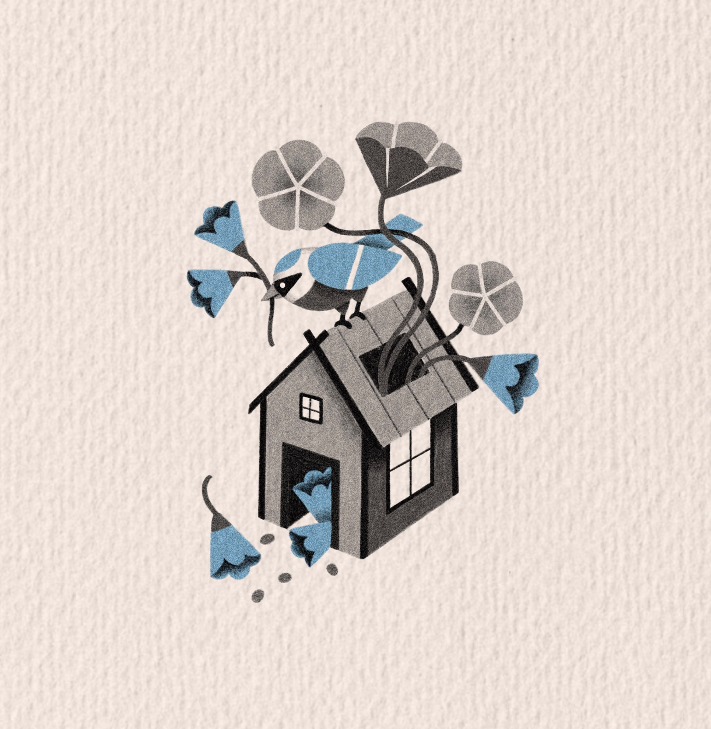 Maison graine 2 • 10cm