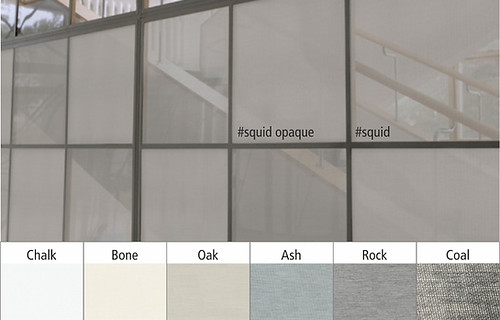 Avery Squid_opaque.jpg