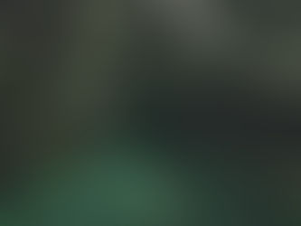 Un día en Monteverde