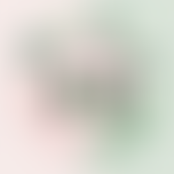 The Power of a Renewed Mind: One Man’s Journey to Healing and Hope