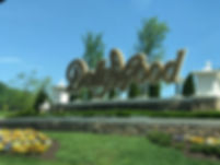 IMG_3698.JPEG