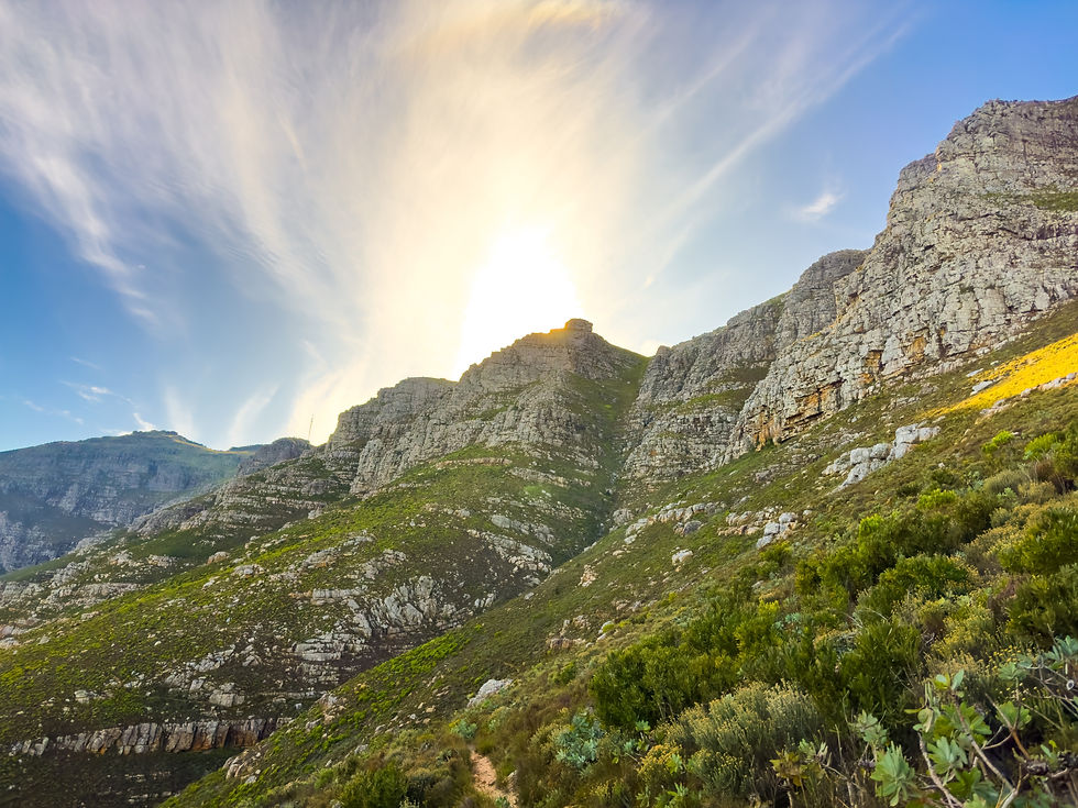 Rugged mountain landscape with fynbos flora in Cape Town, South Africa.jpg