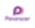 panaracer_edited.png