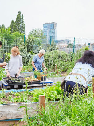 Top 100 innovations sociales : les initiatives qui transforment nos sociétés