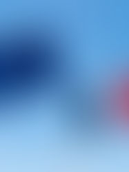 La France dans l’Actualité Mondiale : Un Acteur Clé sur la Scène Internationale