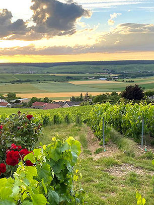 Région de Champagne : Terre d’Histoire, de Bulles et de Beauté Inoubliable