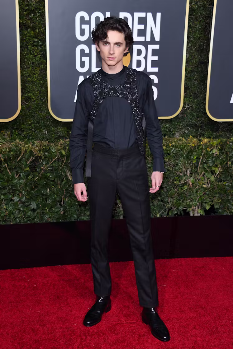 Timothée Chalamet Luxury Style Evolution – 2026 Edition