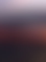 Power, Prestige, and Performance: How Lamborghini Defines Supercar Excellence