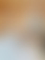 人気のカフェ巡りで日常をもっと楽しむ:お気に入りの一杯と出会う旅