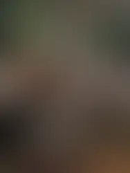 The Ballet Class – Edgar Degas: A Masterpiece of Movement and Grace