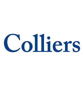 Colliers luxury real estate properties