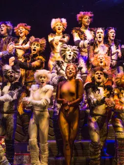 The First Cats Musical: The Story Behind a Theatre Legend