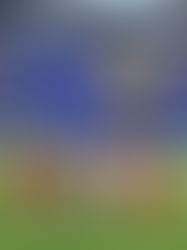 L’Équipe de France (Les Bleus) : fierté nationale et légende du football mondial