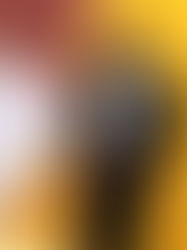 Grammy Awards 2026: Winners, Performances, and the Biggest Moments of the Night