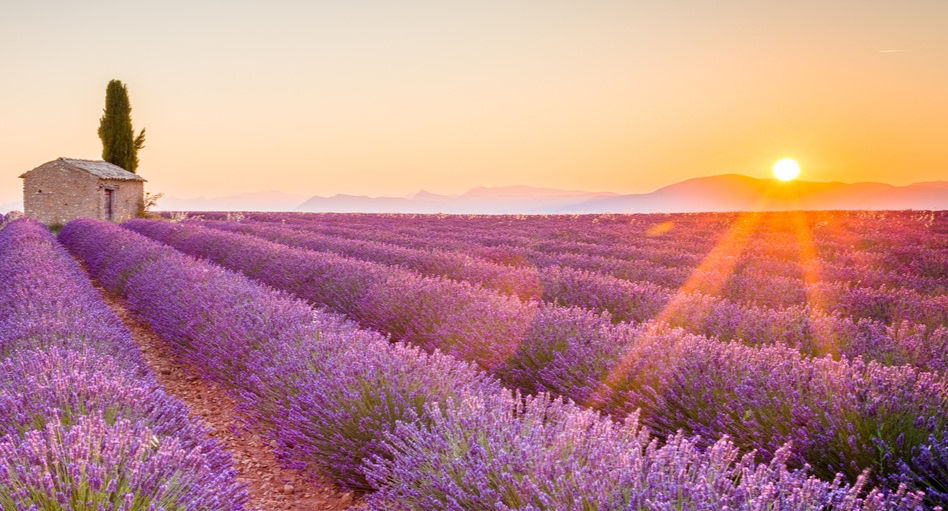 La Provence : entre nature, culture et art de vivre à la française