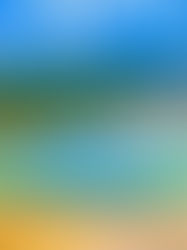 Top Parcs Naturels et Réserves : Les Joyaux Incontournables de la Nature