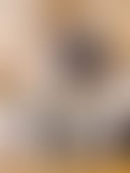 Jüdische Hochzeit: Michelle und Aaron Hochzeit