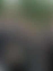 Netflix's "House of Cards": The Game-Changing Release That Sparked the Streaming Revolution (2013)