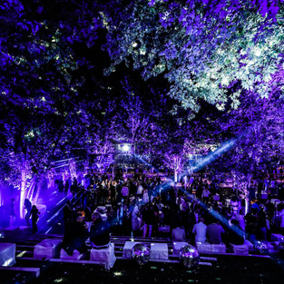 Casamento Famoso: Elie Saab Jr. e Christina Mourad