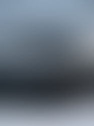 Revolutionizing Mobility: How Tesla Leads the Electric Future