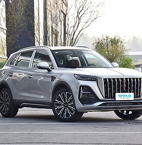 Hongqi luxury car official brand image