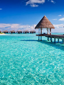 Honeymoon in the Maldives