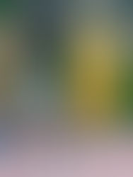 15 Best Things to Do in Kuala Lumpur for an Unforgettable Vacation