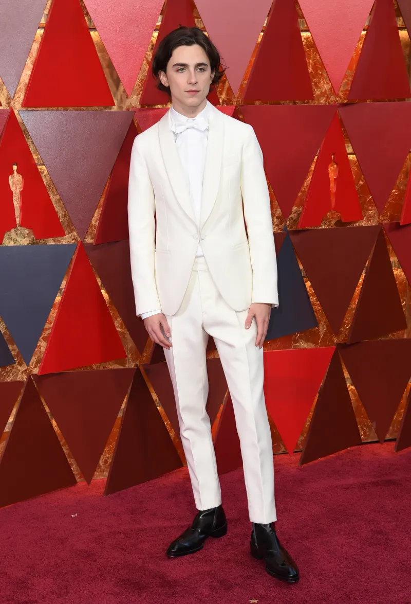 Timothée Chalamet Luxury Style Evolution – 2026 Edition