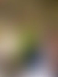 Casamento no Golf Club: Talita e Leo